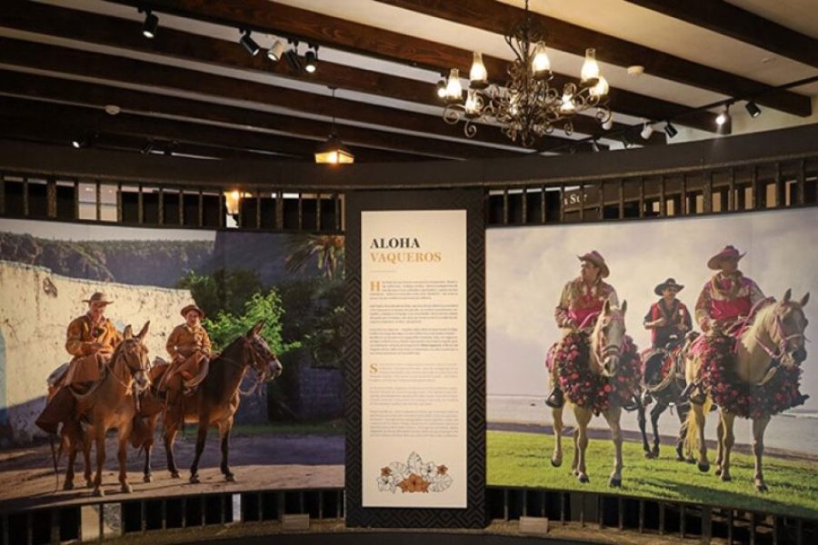 Exhibición Aloha Vaqueros