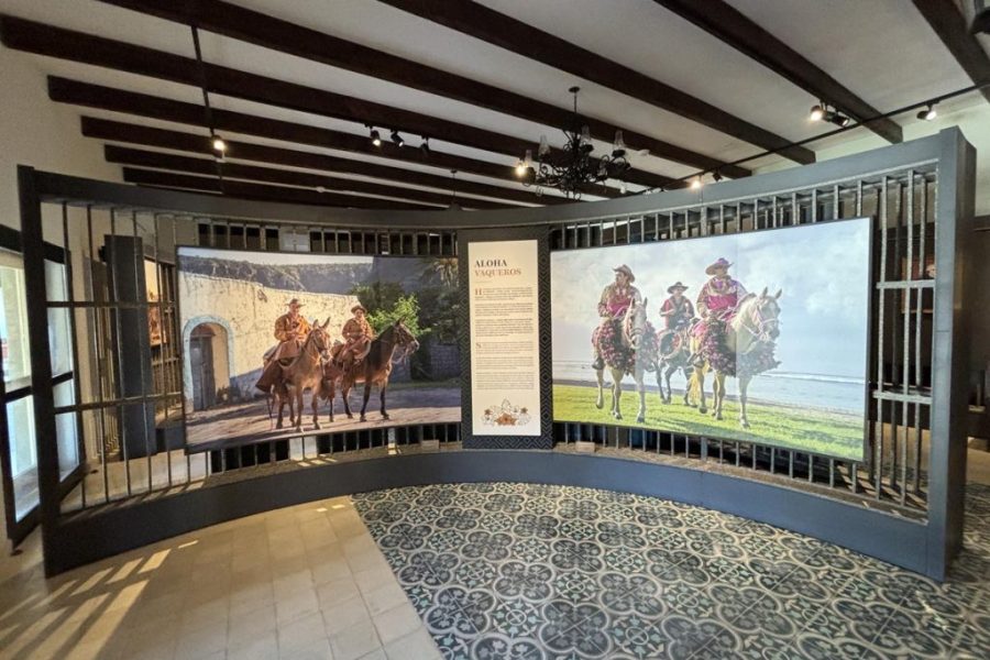 Exhibición Aloha Vaqueros